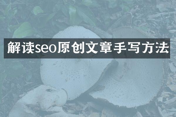 解读seo原创文章手写方法