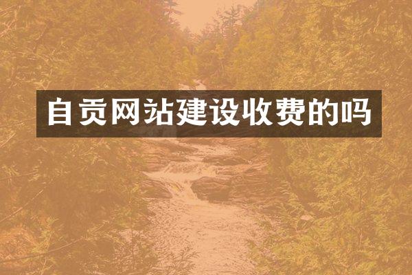 自贡网站建设收费的吗