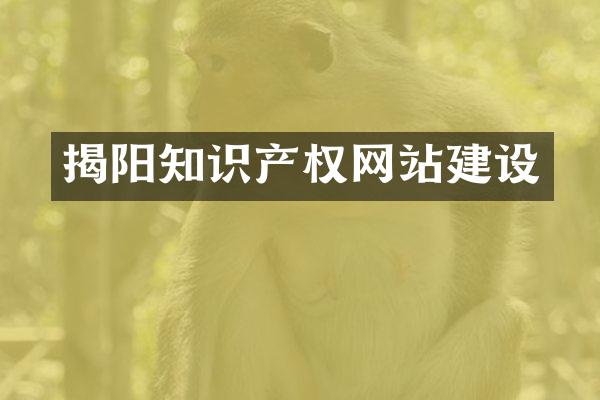 揭阳知识产权网站建设