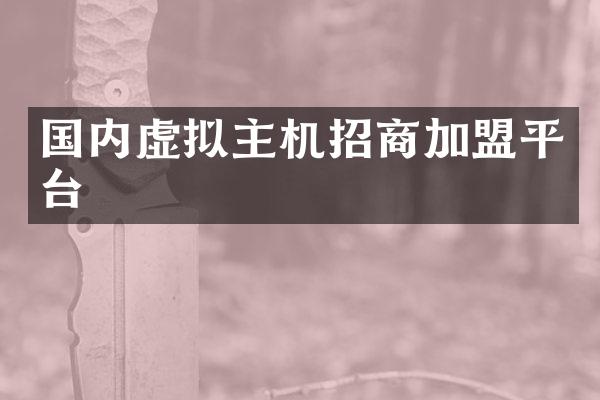 国内虚拟主机招商加盟平台