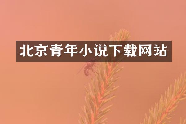 北京青年小说下载网站