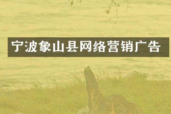 宁波象山县网络营销广告