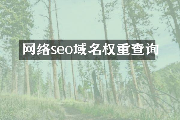 网络seo域名权重查询