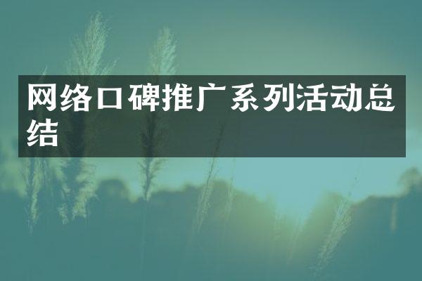 网络口碑推广系列活动总结
