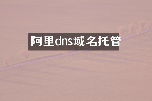 阿里dns域名托管