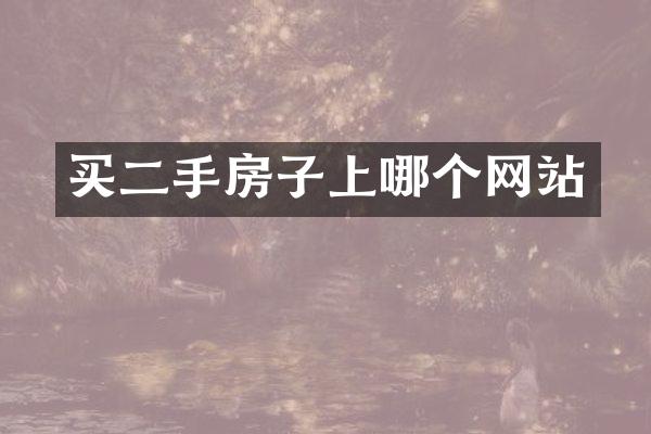 买二手房子上哪个网站