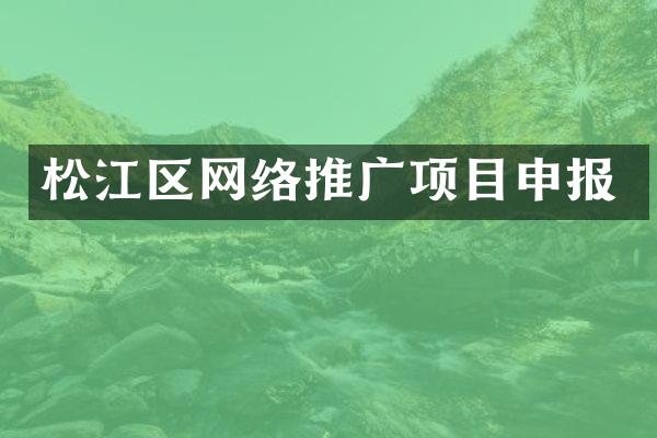 松江区网络推广项目申报