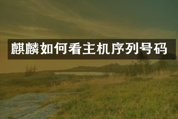 麒麟如何看主机序列号码