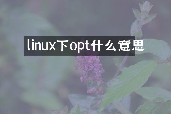linux下opt什么意思