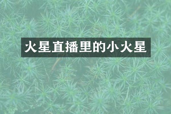 火星直播里的小火星