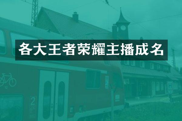 各大王者荣耀主播成名