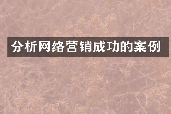 分析网络营销成功的案例