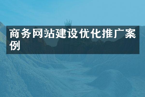 商务网站建设优化推广案例