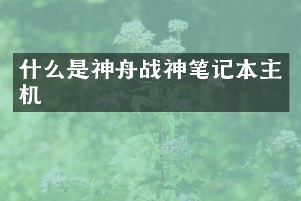 什么是神舟战神笔记本主机