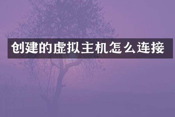 创建的虚拟主机怎么连接