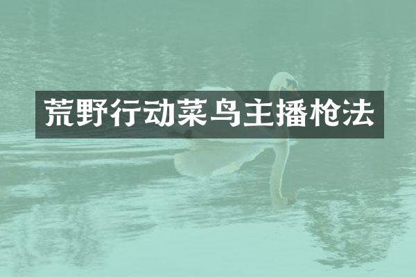 荒野行动菜鸟主播枪法