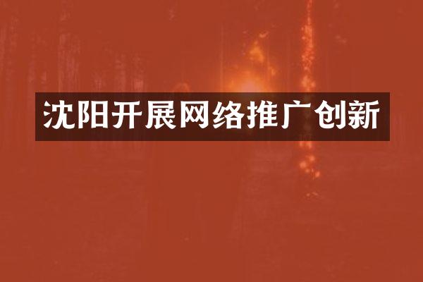 沈阳开展网络推广创新