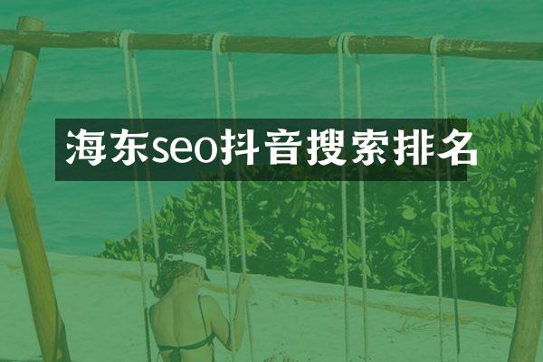 海东seo抖音搜索排名