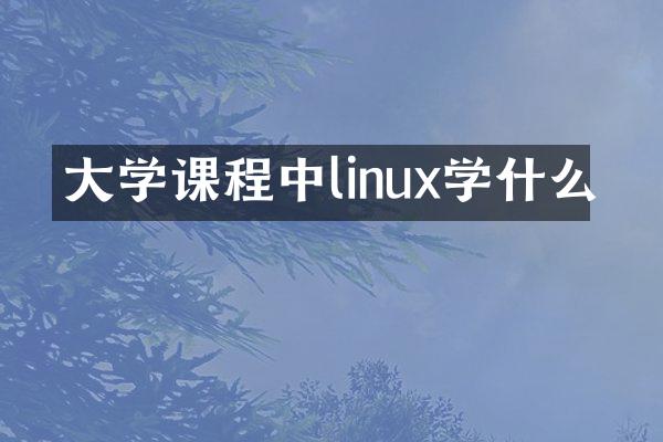 大学课程中linux学什么