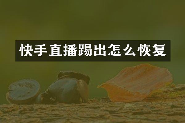 快手直播踢出怎么恢复