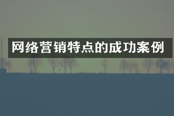 网络营销特点的成功案例