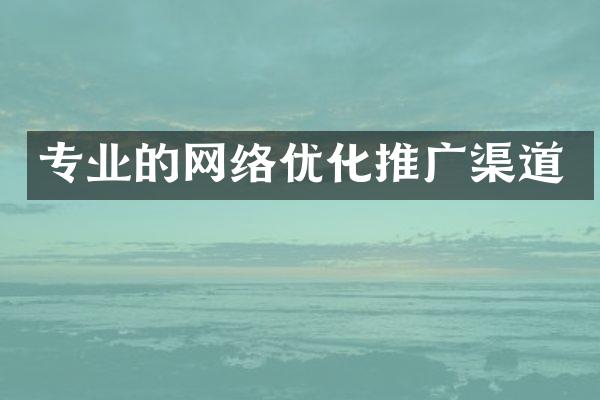 专业的网络优化推广渠道