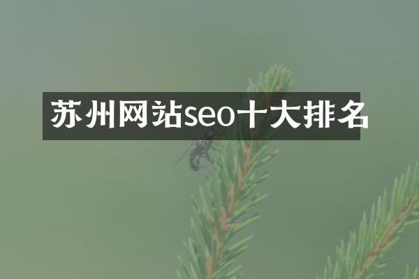 苏州网站seo十大排名