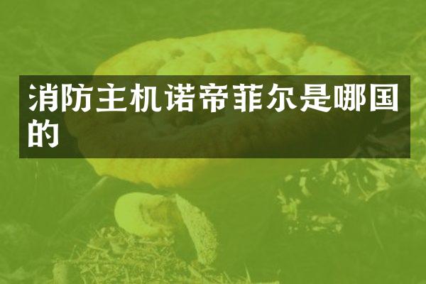 消防主机诺帝菲尔是哪国的