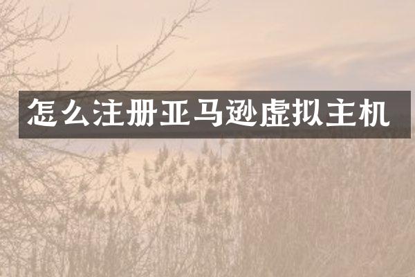 怎么注册亚马逊虚拟主机