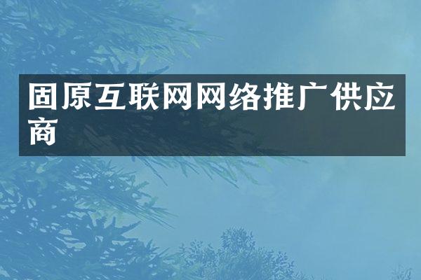 固原互联网网络推广供应商