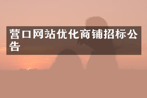 营口网站优化商铺招标公告