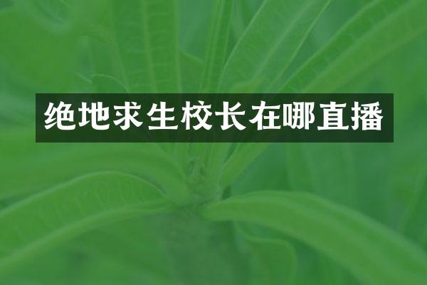 绝地求生校长在哪直播