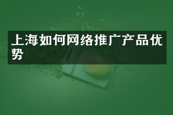 上海如何网络推广产品优势