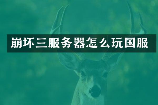 崩坏三服务器怎么玩国服