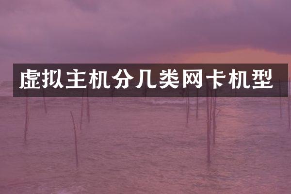虚拟主机分几类网卡机型