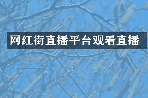 网红街直播平台观看直播