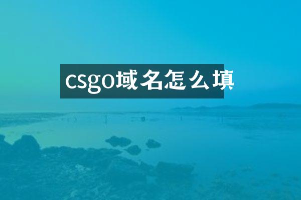 csgo域名怎么填