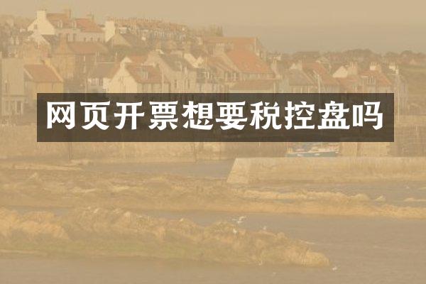 网页开票想要税控盘吗