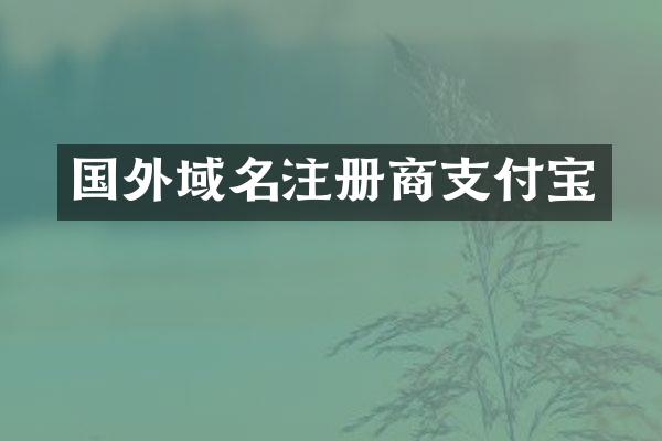国外域名注册商支付宝