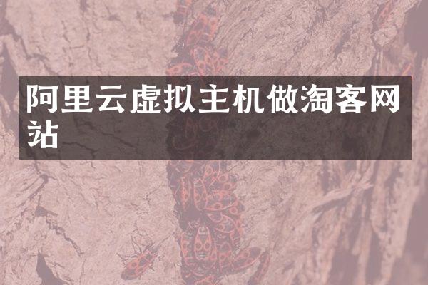 阿里云虚拟主机做淘客网站
