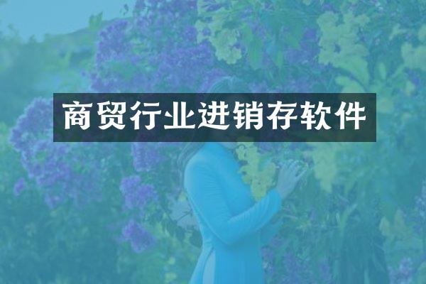 商贸行业进销存软件