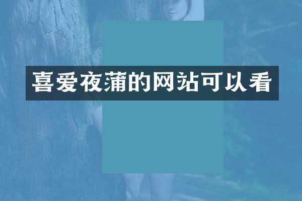 喜爱夜蒲的网站可以看