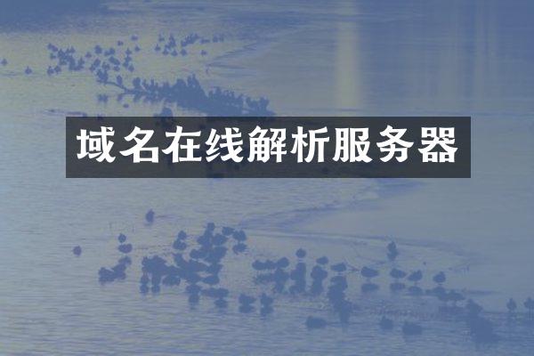 域名在线解析服务器
