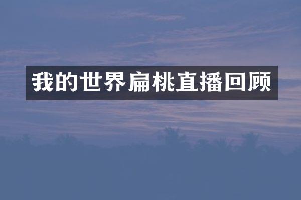 我的世界扁桃直播回顾