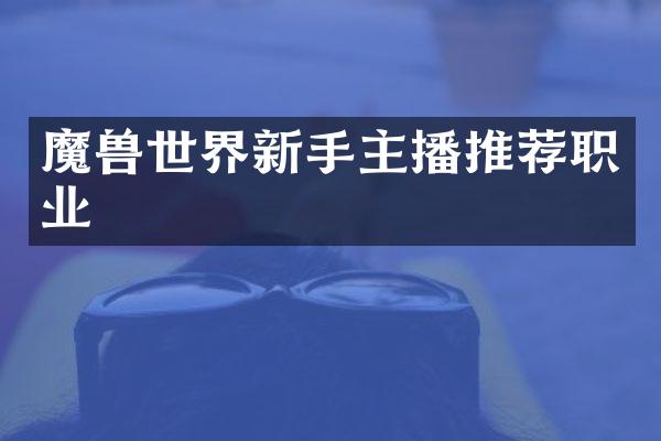 魔兽世界新手主播推荐职业
