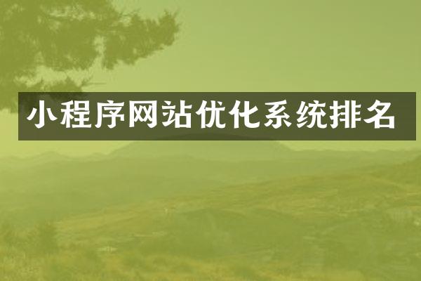 小程序网站优化系统排名