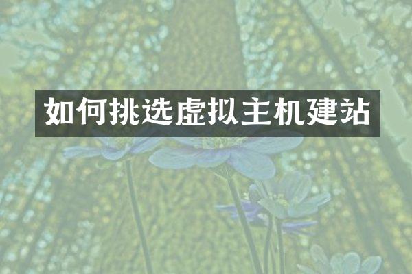 如何挑选虚拟主机建站