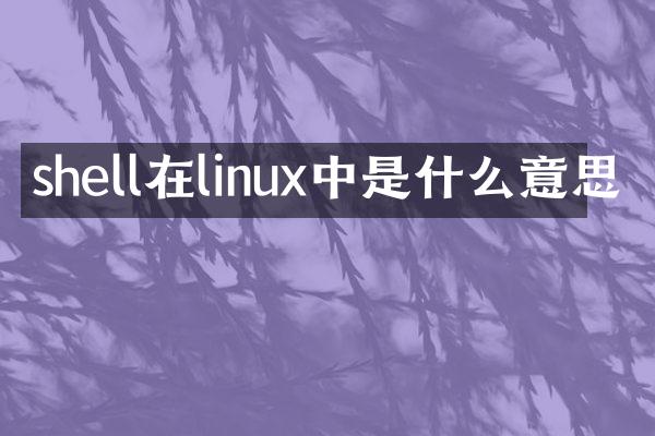 shell在linux中是什么意思