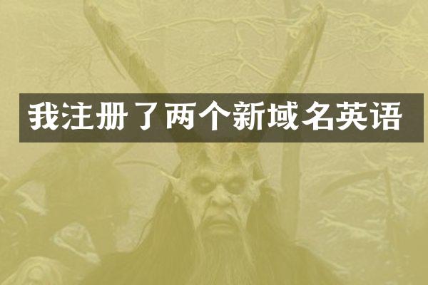 我注册了两个新域名英语