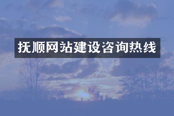 抚顺网站建设咨询热线